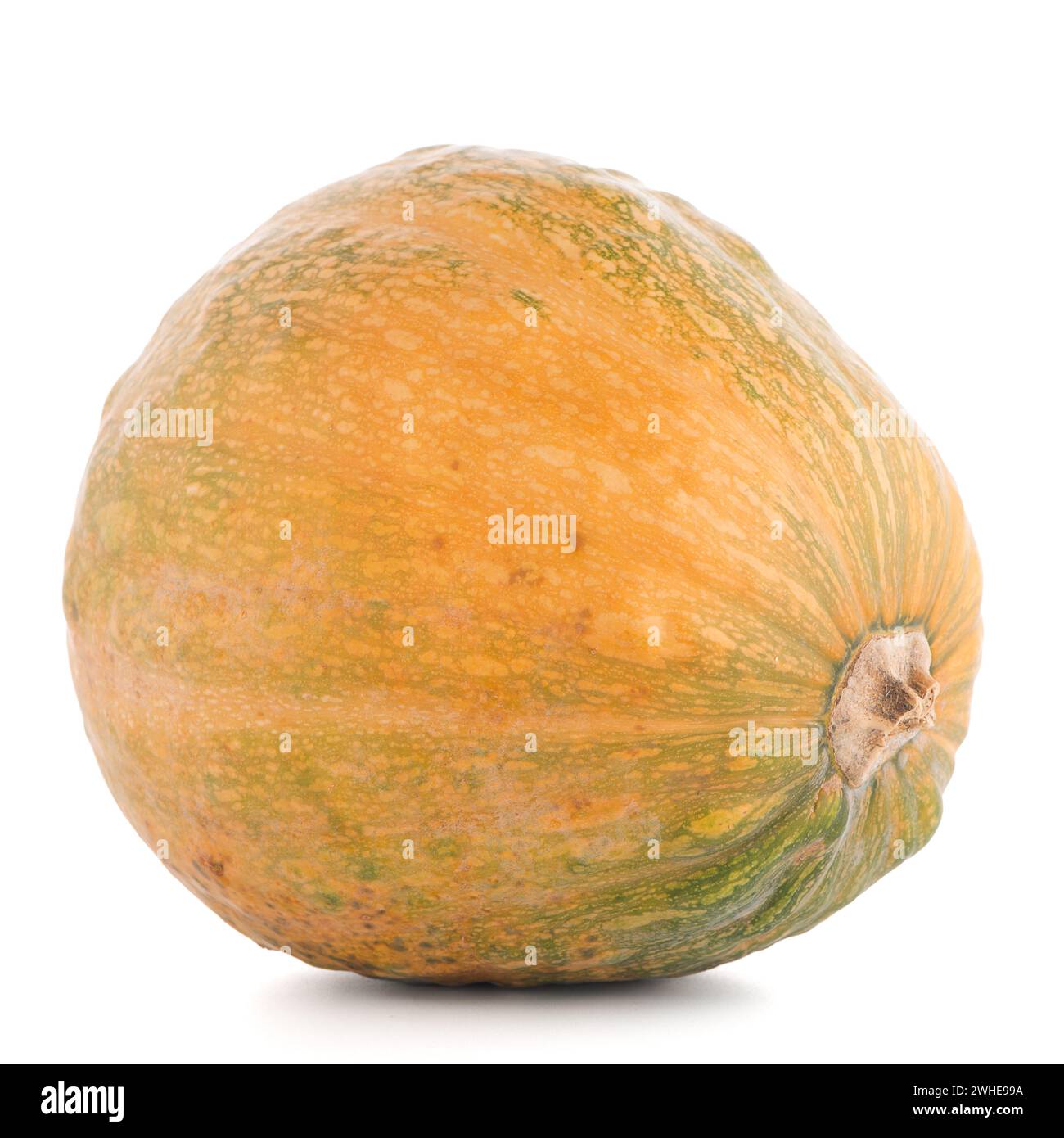 Zucca Foto Stock