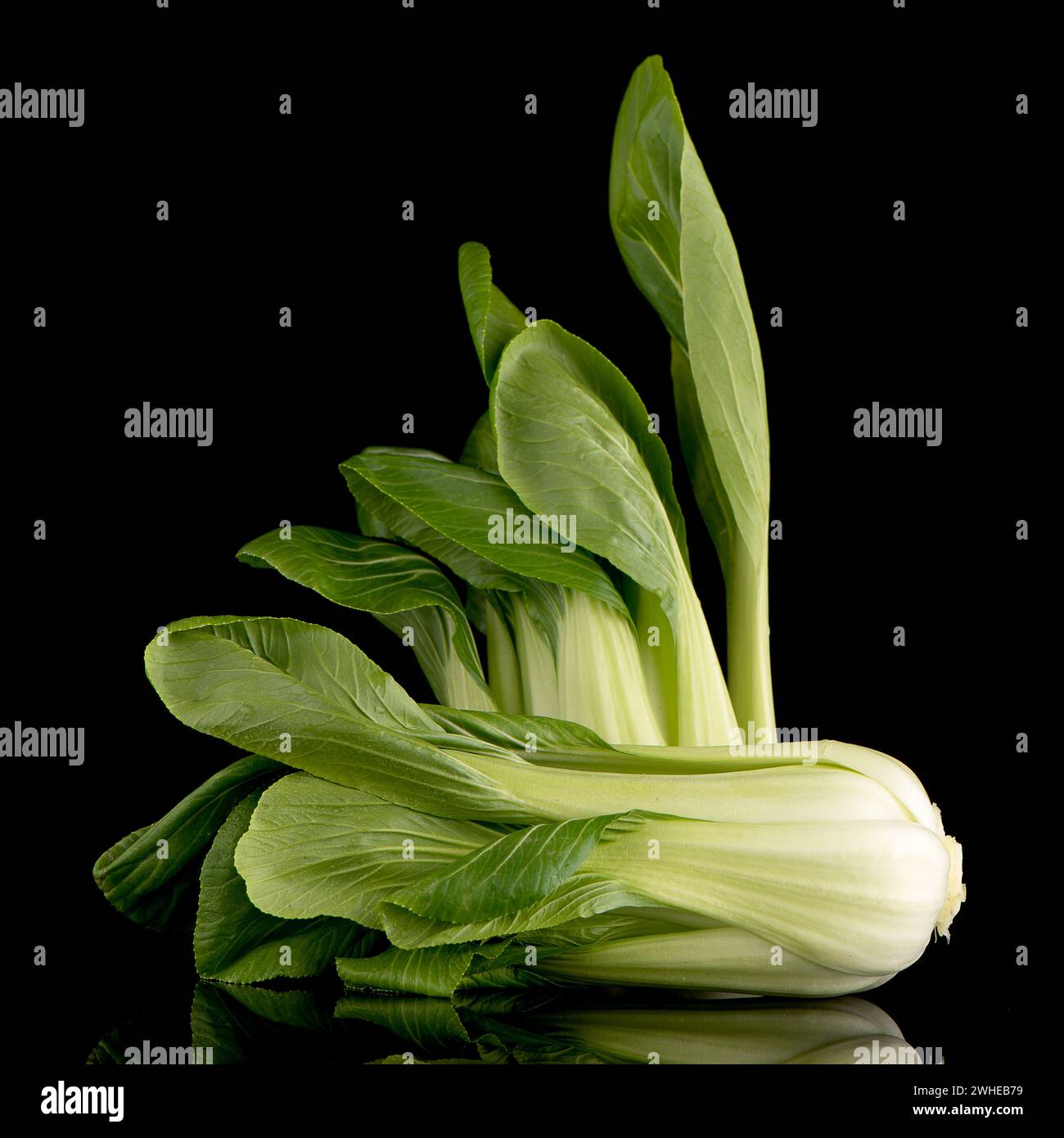 Pak choi su nero Foto Stock