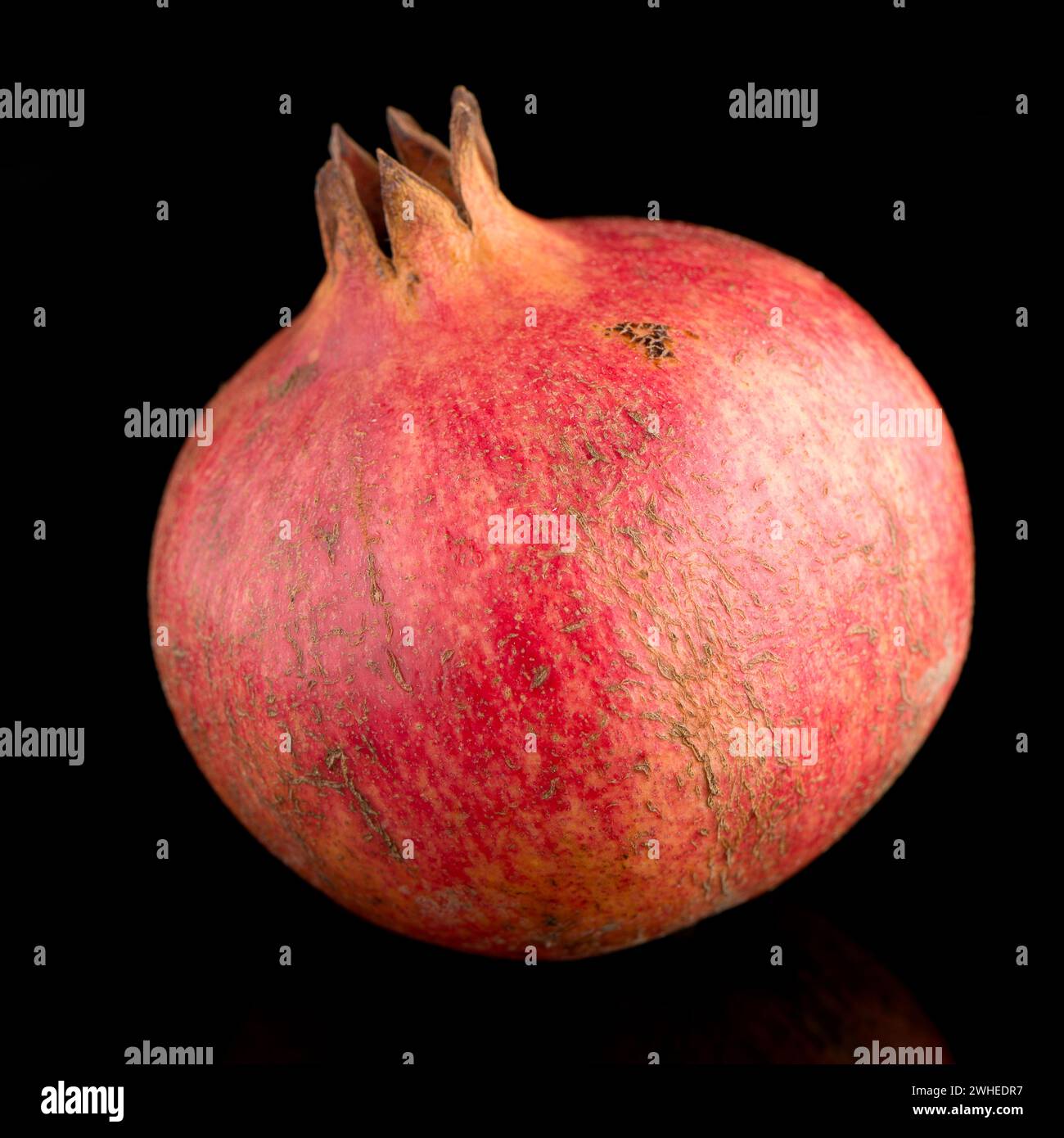 Mature frutto di melograno Foto Stock