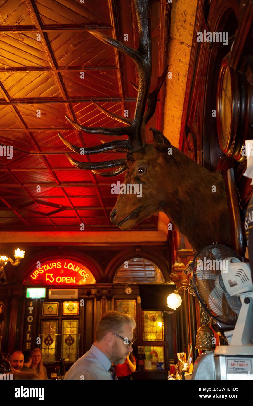 '10.07.2019, Irlanda, Contea di Dublino, Dublino - The Stag's Head, pub irlandese nel quartiere dei pub Tempel Bar, popolare tra la gente del posto e i turisti. 00A190710D2 Foto Stock