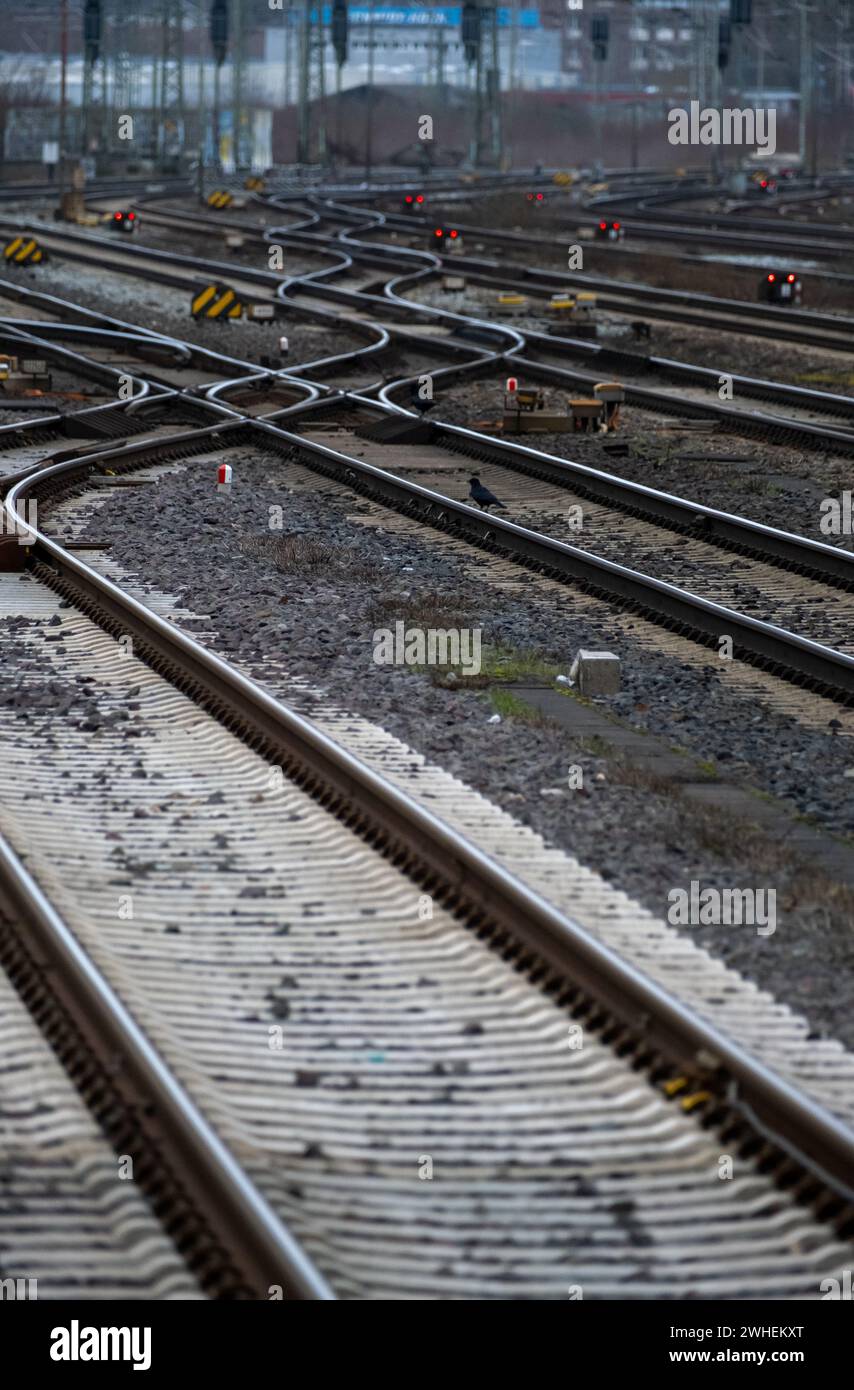 "24.01.2024, Germania, Brema, Brema - vuoto alla stazione centrale di Brema durante lo sciopero nazionale dei macchinisti" union GDL. 00A240124D057 Foto Stock