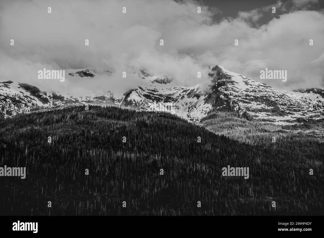 Neve sulle cime delle montagne con nuvole basse e foresta ombreggiata Foto Stock