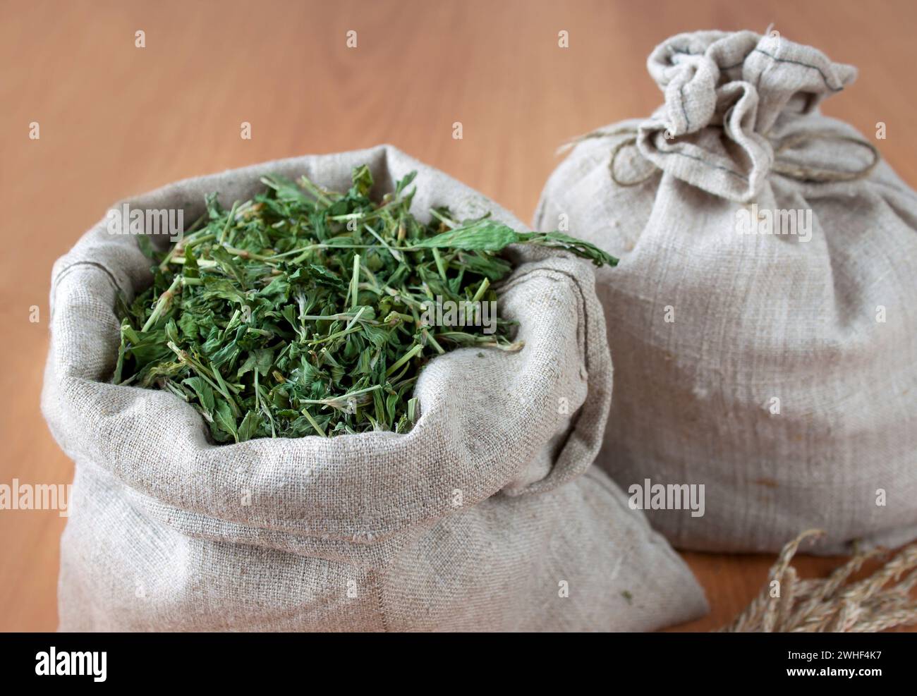Erbe essiccate in sacchetti di lino Foto Stock