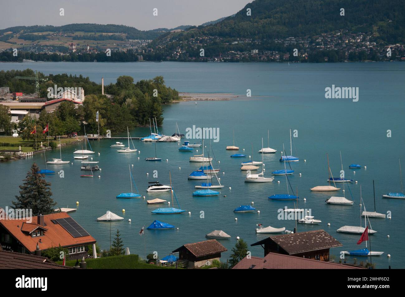 Thunersee (lago di Thun) vicino a Spiez, Berna, Svizzera Foto Stock