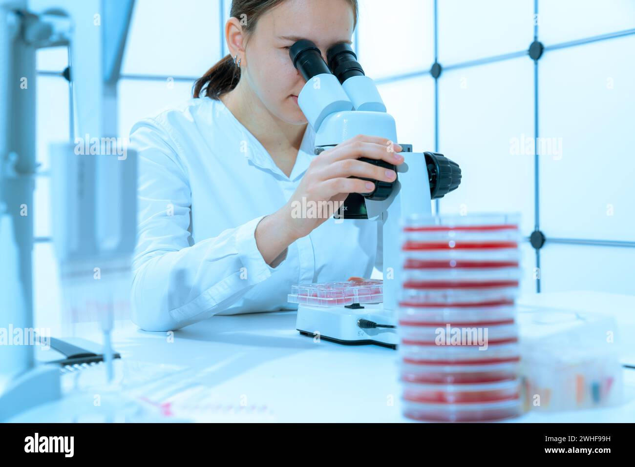 Scienziato che esamina le colture cellulari Foto Stock
