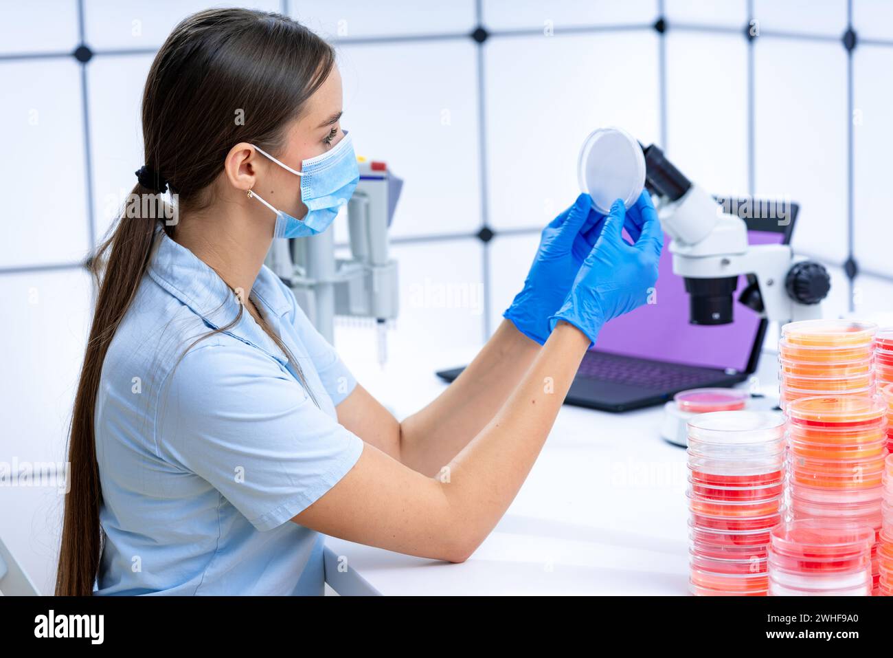Scienziato esaminando capsula di petri Foto Stock