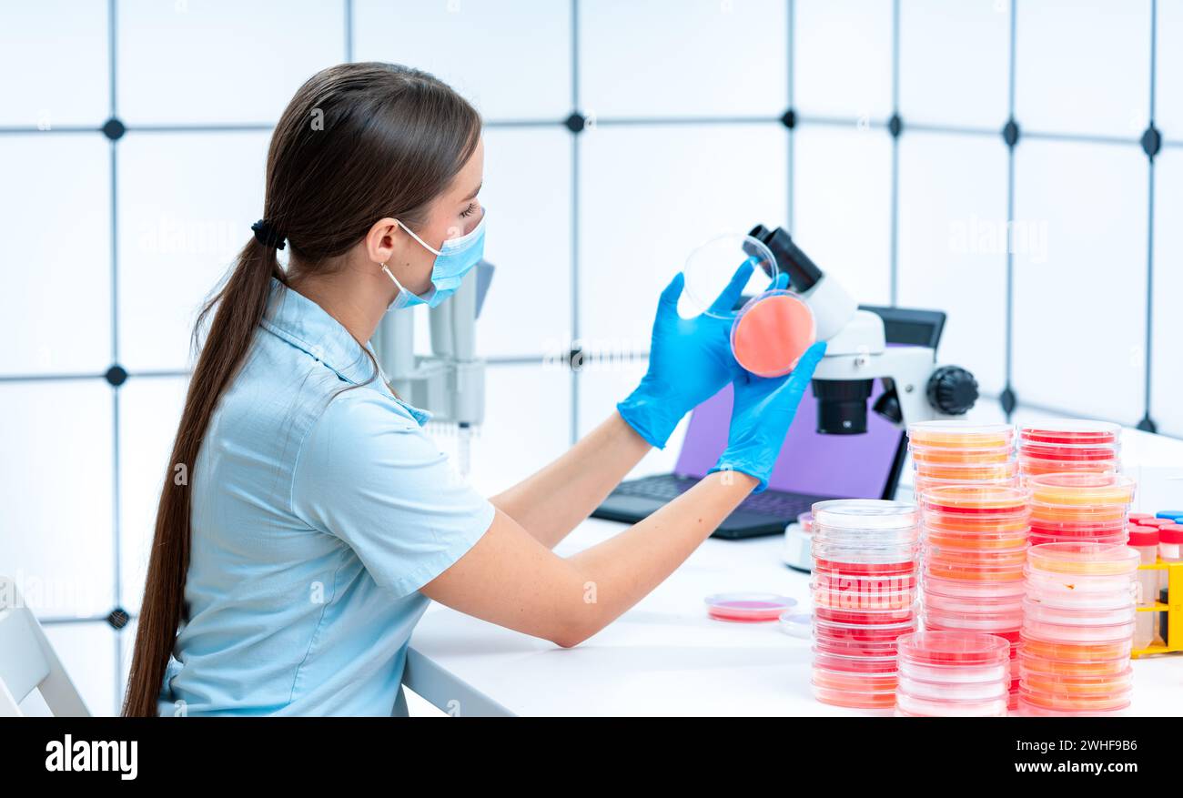 Scienziato esaminando capsula di petri Foto Stock