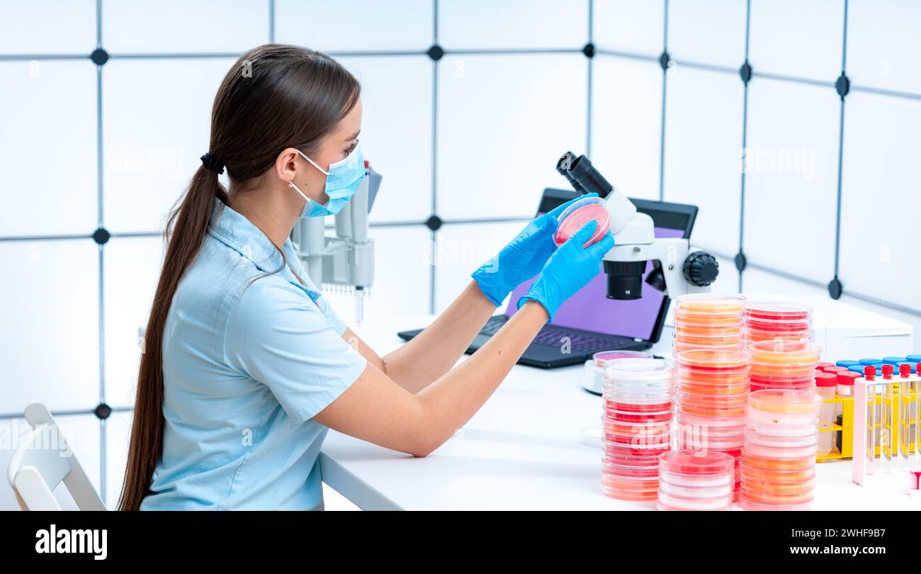 Scienziato esaminando capsula di petri Foto Stock