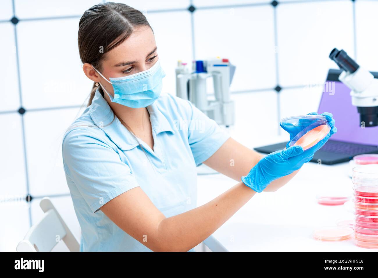 Scienziato esaminando capsula di petri Foto Stock