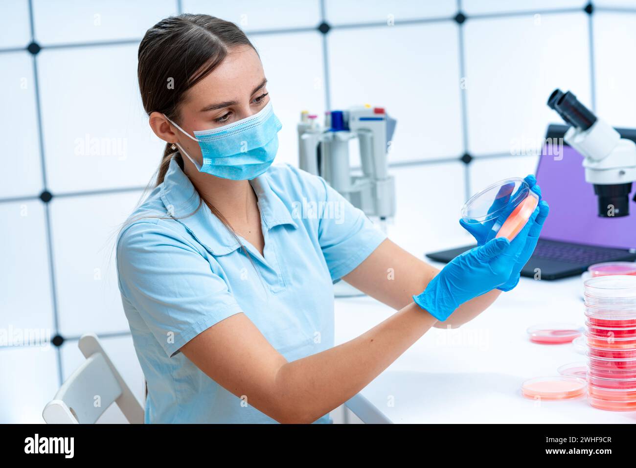 Scienziato esaminando capsula di petri Foto Stock