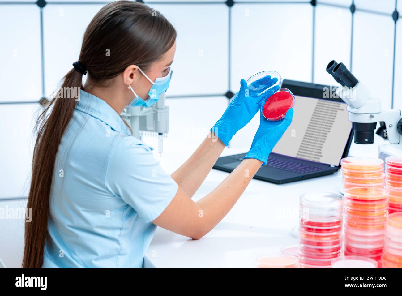 Scienziato esaminando capsula di petri Foto Stock