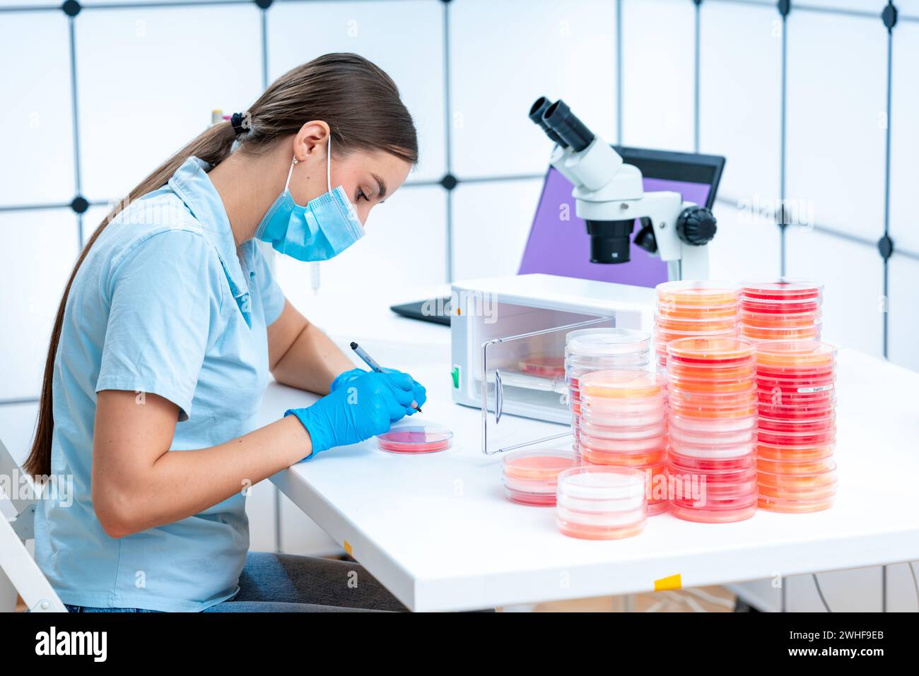Piastra Petri per etichettatura per scienziati Foto Stock