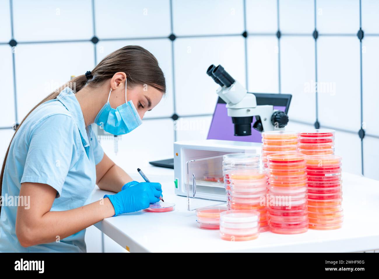 Piastra Petri per etichettatura per scienziati Foto Stock