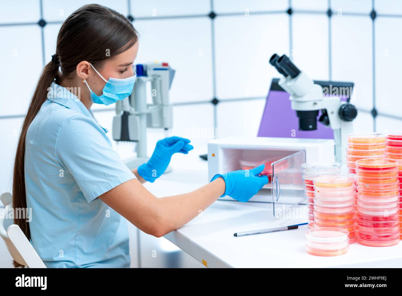 Scienziato esaminando capsula di petri Foto Stock
