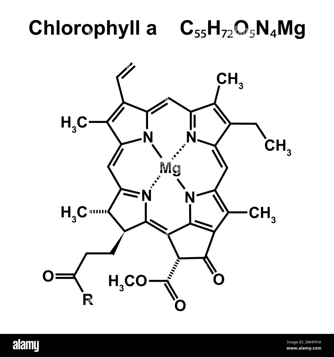 Clorofilla struttura chimica, illustrazione. Foto Stock