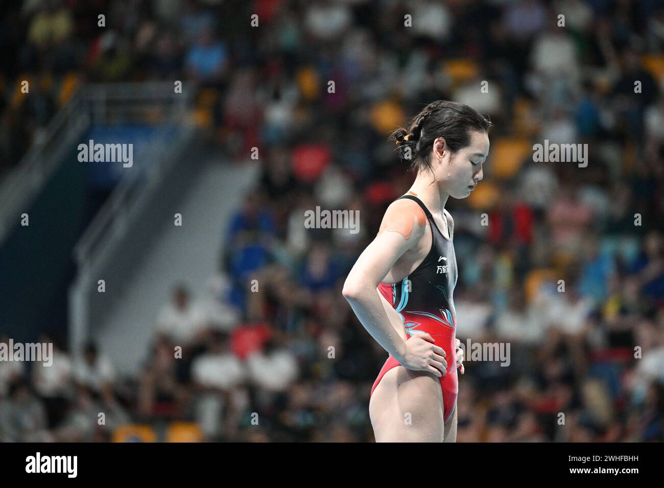 Doha. 9 febbraio 2024. Chang Yani della Cina gareggia durante la finale femminile di trampolino 3m dei Campionati mondiali di nuoto 2024 a Doha, in Qatar, il 9 febbraio 2024. Crediti: Xue Yuge/Xinhua/Alamy Live News Foto Stock