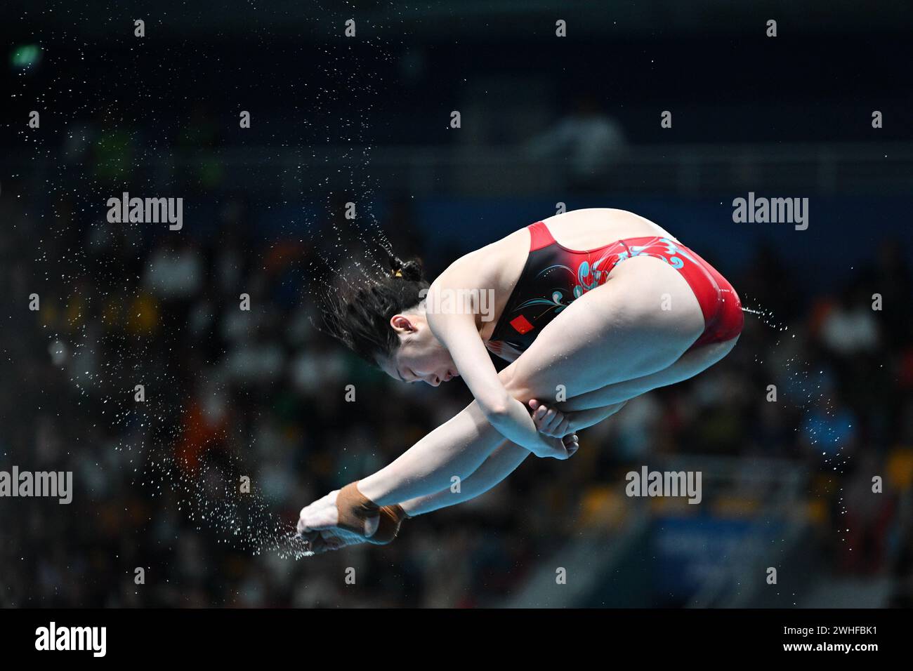 Doha. 9 febbraio 2024. Chang Yani della Cina gareggia durante la finale femminile di trampolino 3m dei Campionati mondiali di nuoto 2024 a Doha, in Qatar, il 9 febbraio 2024. Crediti: Xue Yuge/Xinhua/Alamy Live News Foto Stock
