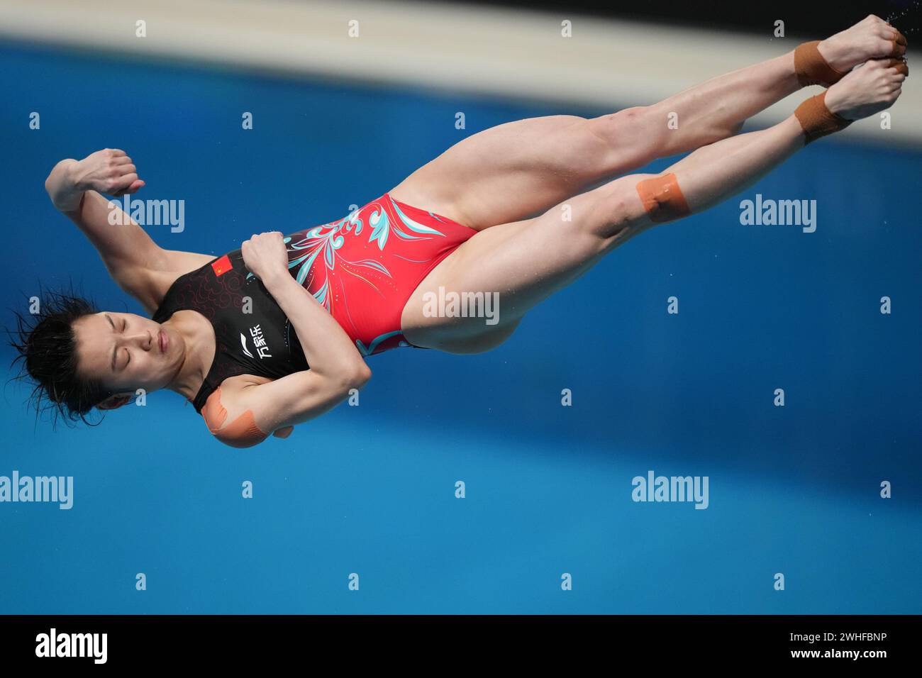 Doha. 9 febbraio 2024. Chang Yani della Cina gareggia durante la finale femminile di trampolino 3m dei Campionati mondiali di nuoto 2024 a Doha, in Qatar, il 9 febbraio 2024. Crediti: Xue Yuge/Xinhua/Alamy Live News Foto Stock