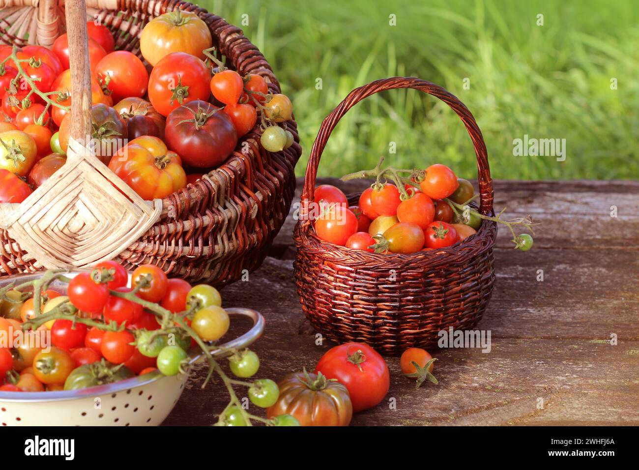 Varietà di pomodori cimellati in cesti su tavola rustica. Pomodoro colorato - rosso, giallo, arancione. Raccogliere il concetto di cottura delle verdure Foto Stock