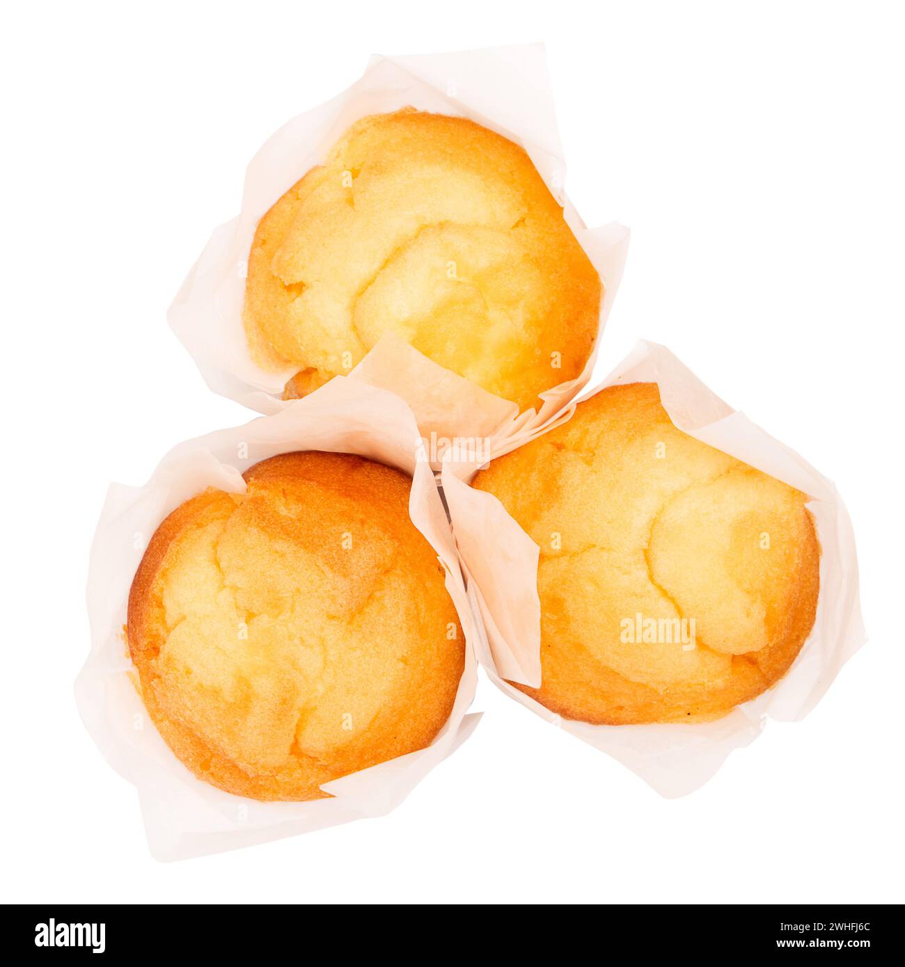 Magdalena tipica spagnola Muffin normale Foto Stock