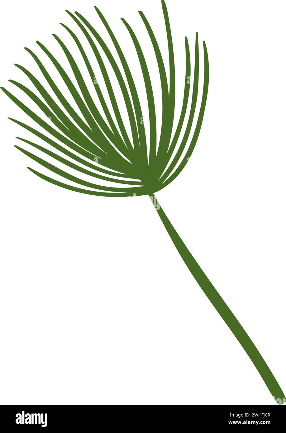 flora e foglie di palma Illustrazione Vettoriale