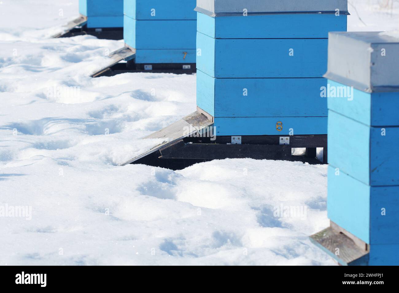 Inverno paese di scena con alveari coperti di neve Foto Stock