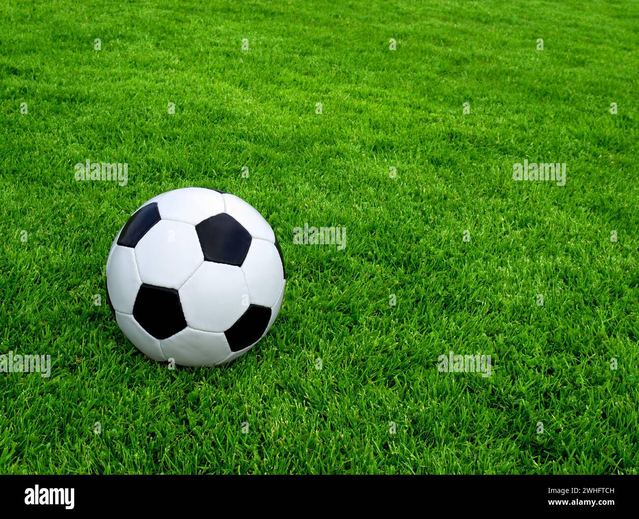 Classico Pallone da calcio in erba verde Foto Stock