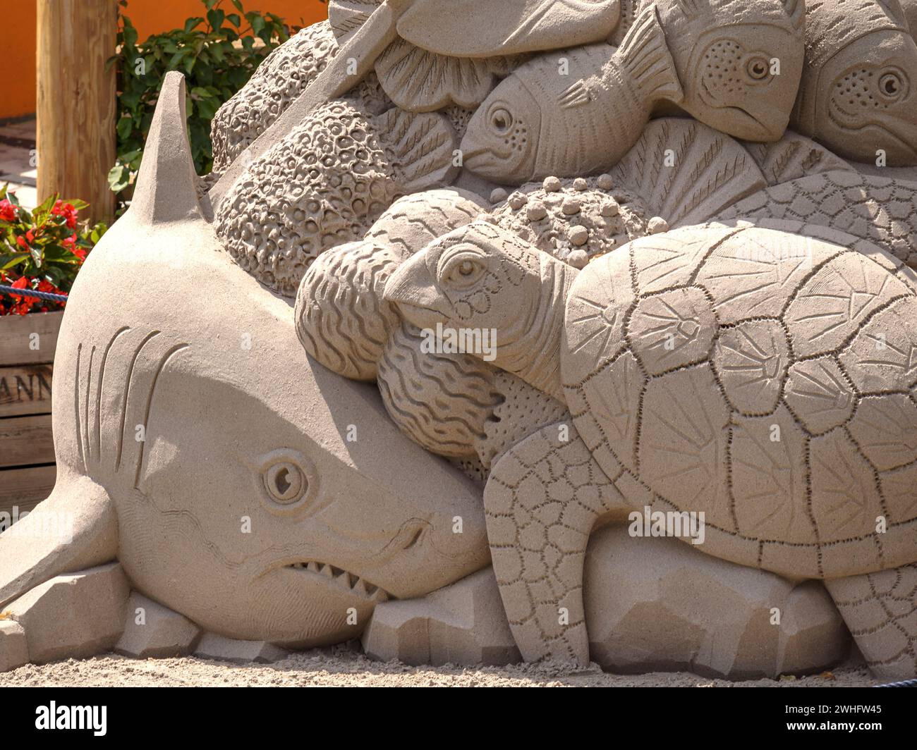 Tema dell'arte della sabbia del mondo sottomarino, registrazione dettagliata, tartaruga e squalo Foto Stock