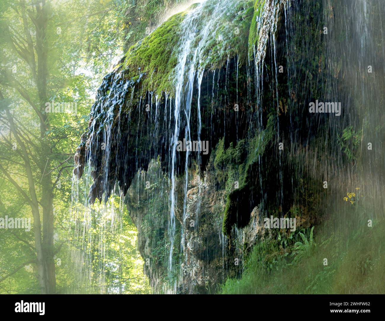 Cascata di Urach, dettaglio, Germania meridionale Foto Stock