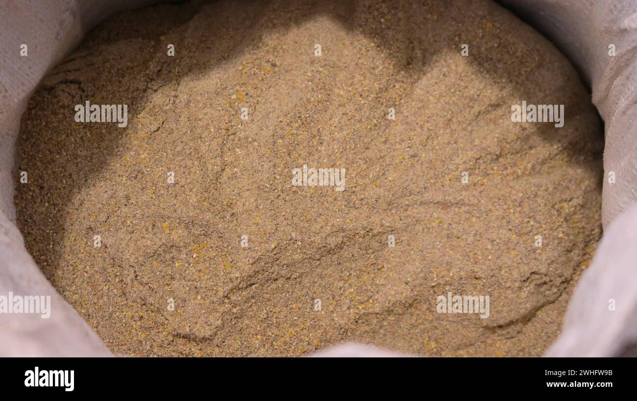 borsa di tela aperta con cibo macinato fine per quaglie domestiche, contenente vari ingredienti di cereali e proteine schiacciati in piccole frazioni Foto Stock
