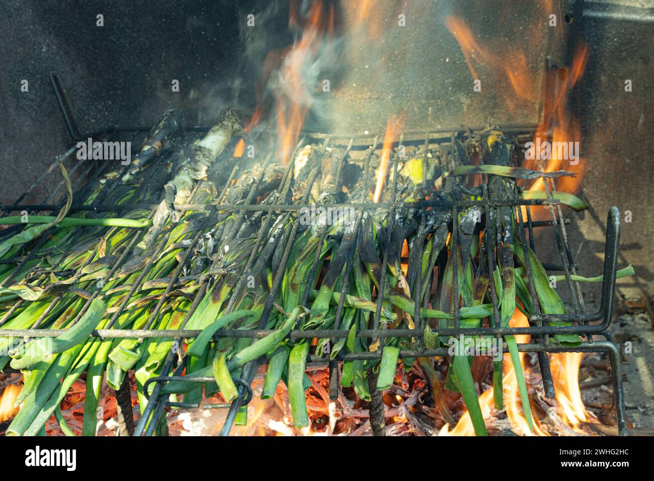 Primo piano di diverse calze che cucinano con un fuoco al barbecue, "Calcotada". tipico cibo catalano Foto Stock