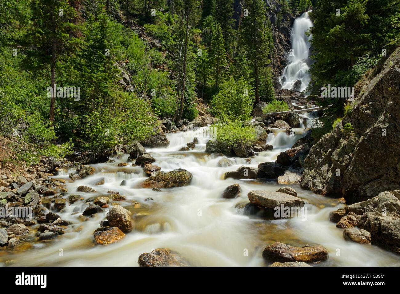 Fish creek si trova vicino a Steamboat Springs in Colorado Foto Stock