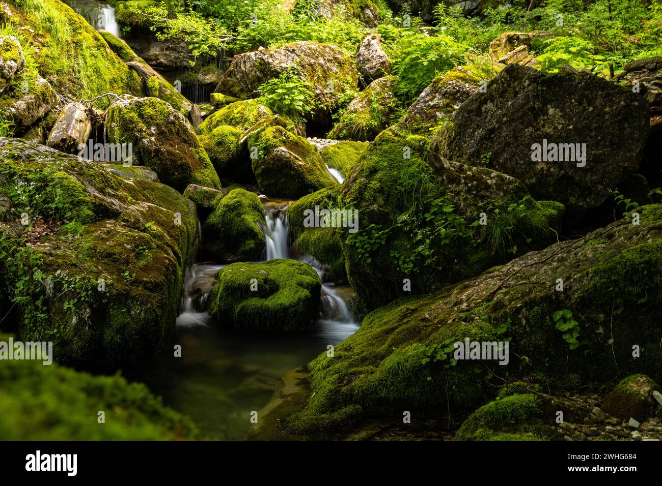 Torrente nelle alpi in austria Foto Stock