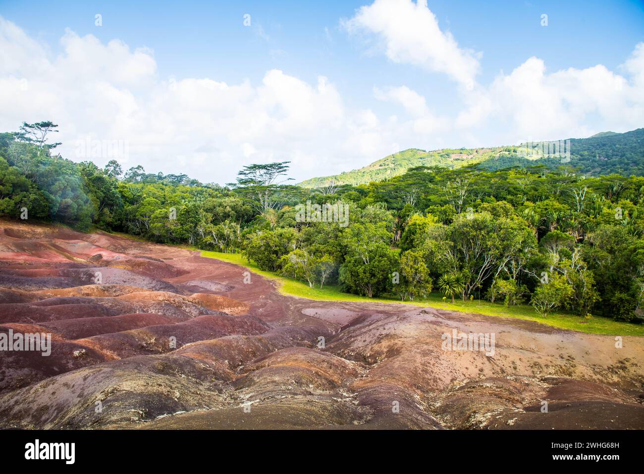 La bella Terra dei sette colori (Terres des Sept Couleurs). Chamarel, Isola Maurizio, Oceano Indiano, Africa Foto Stock