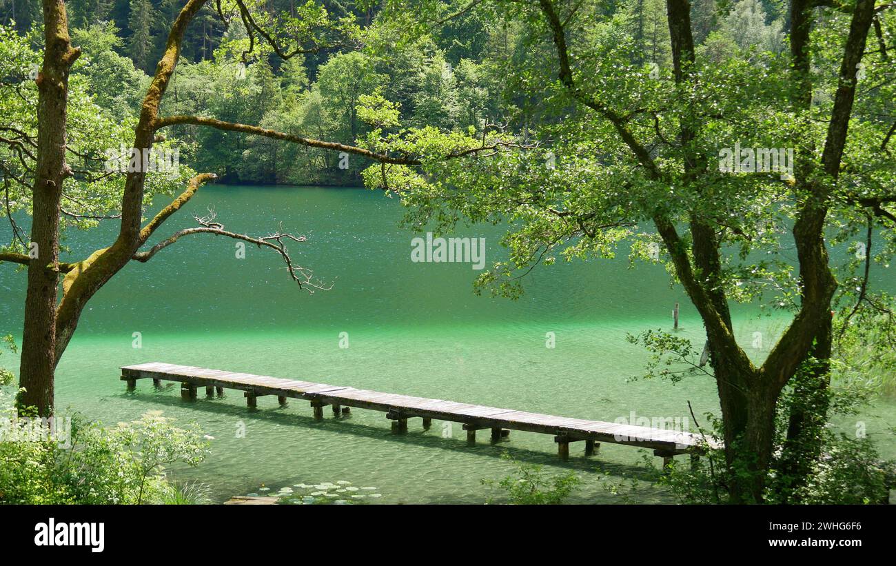 Barca e molo per il bagno sul Thumsee verde smeraldo Foto Stock