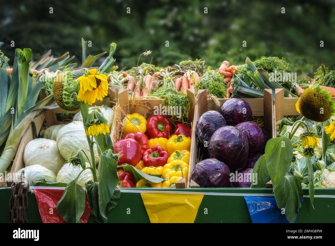 Verdure fresche biologiche come peperoni e cavoli vari in un mercato di campagna, concetto di raccolta, agricoltura e guarigione Foto Stock