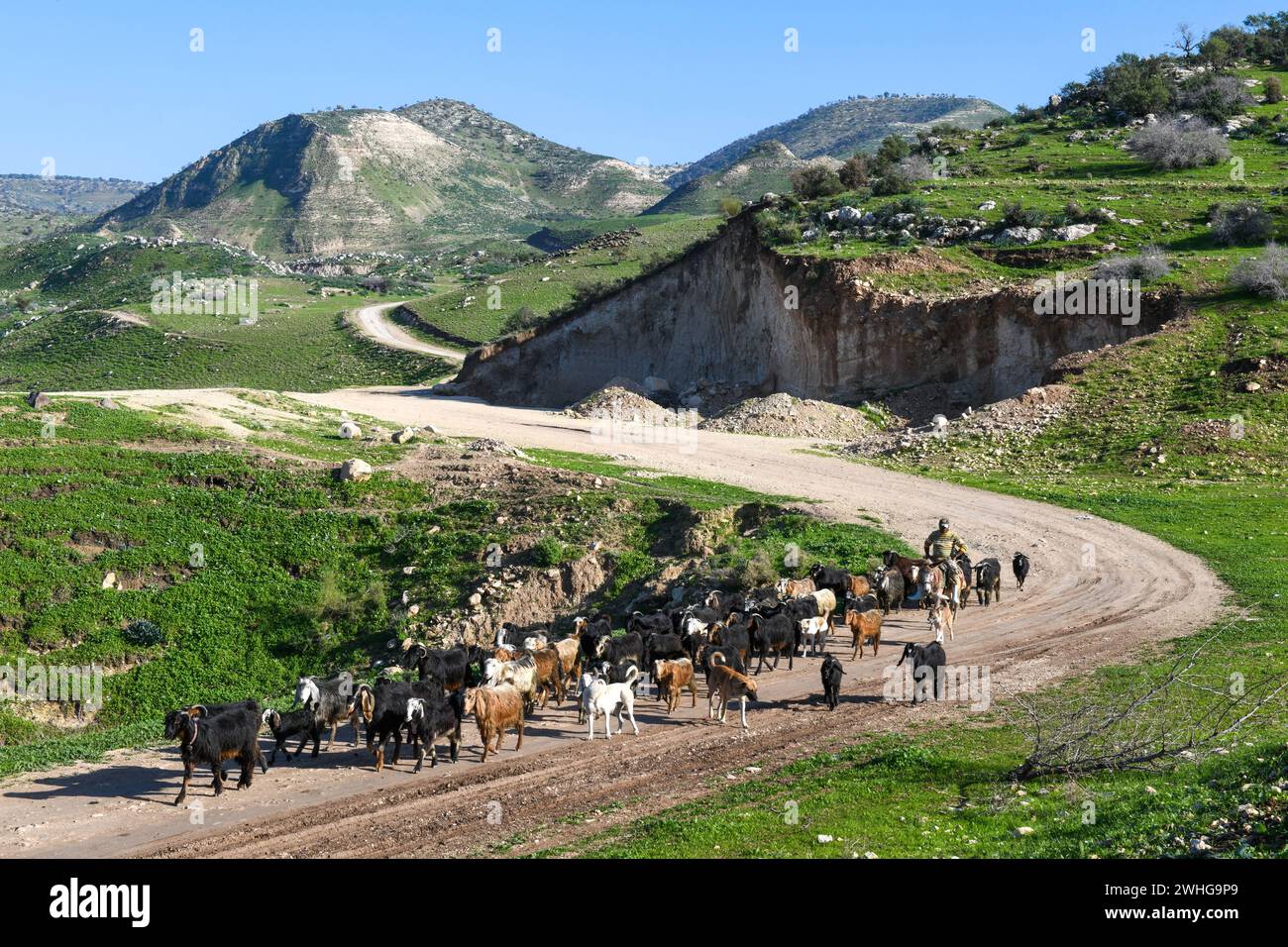 Ammira le alture del Golan e il confine tra Israele, Siria e Giordania Foto Stock