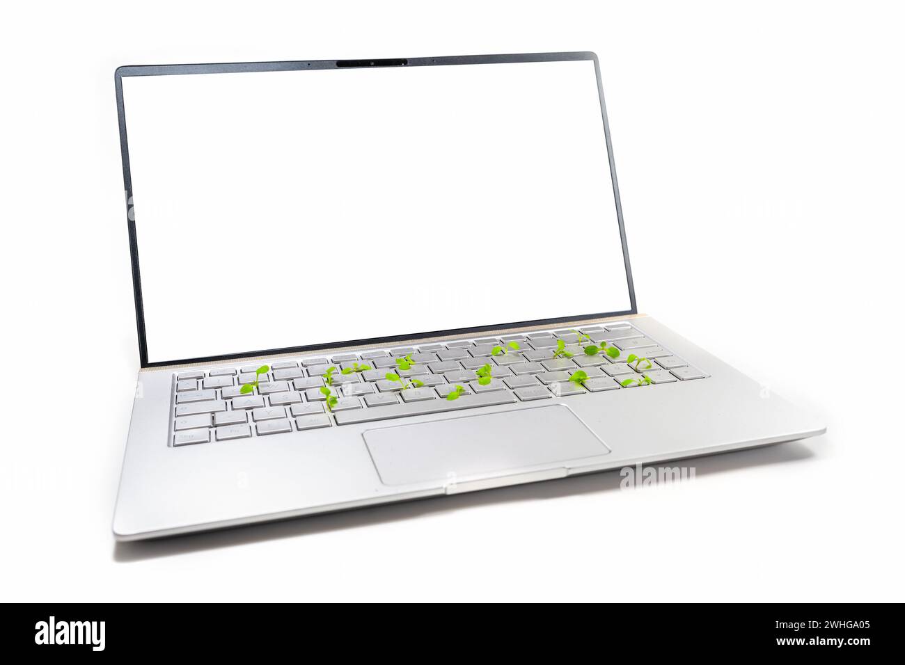 Modello di notebook con schermo vuoto e piccole piantine che crescono sulla tastiera, concetto per aziende ecologiche e econom ecocompatibile Foto Stock