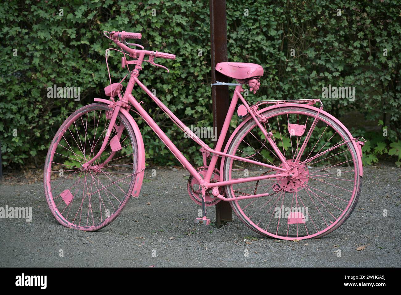 Bicicletta verniciata di rosa con pneumatici sgonfi come decorazione davanti a una siepe Foto Stock