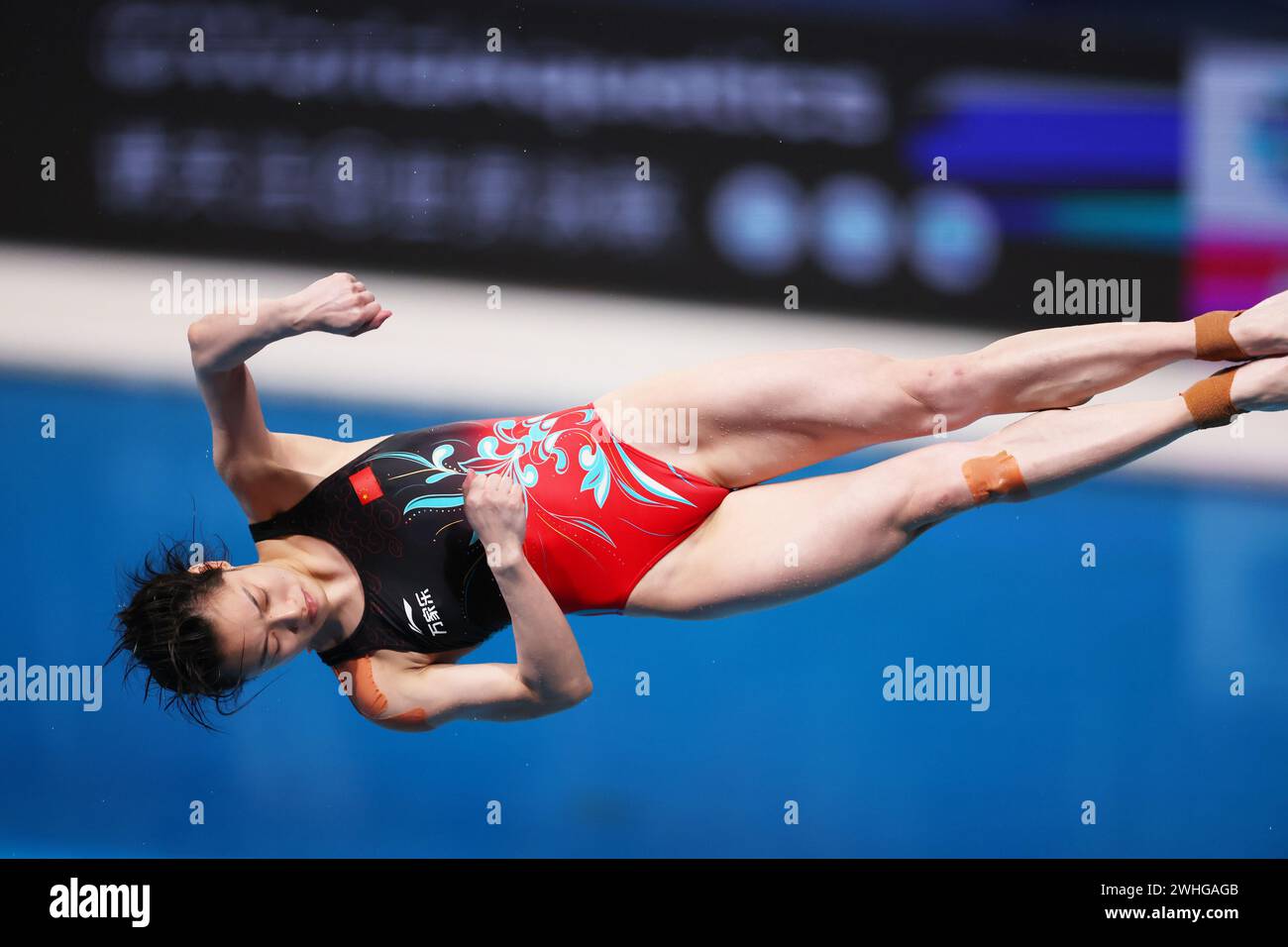 Doha, Qatar. 9 febbraio 2024. Yani Chang (CHN) Diving : World Aquatics Championships Doha 2024 Women's 3m Springboard Final at Hamad Aquatic Centre a Doha, Qatar . Crediti: Naoki Morita/AFLO SPORT/Alamy Live News Foto Stock