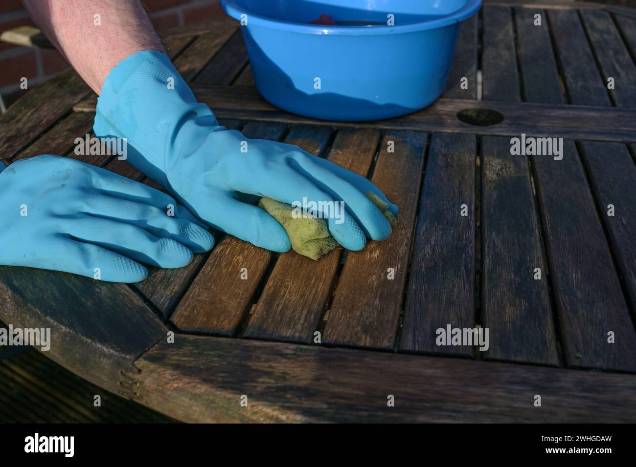 Mani in guanti di gomma blu che puliscono un tavolo da giardino in legno all'inizio della primavera o durante la stagione all'aperto, spazio copia Foto Stock