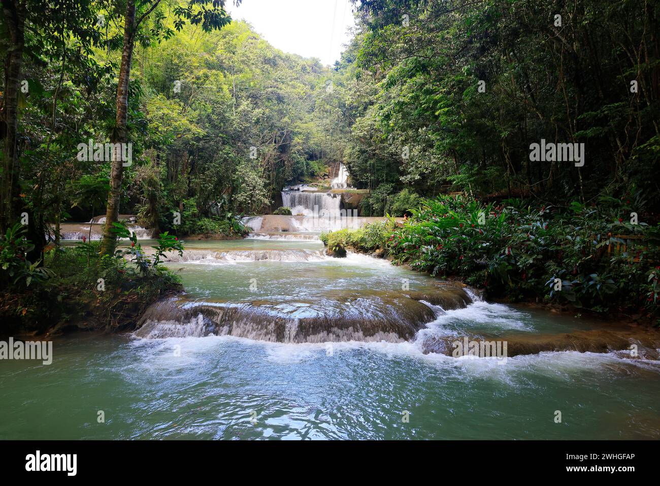 Cascate YS in Giamaica, Caraibi, America. Foto Stock