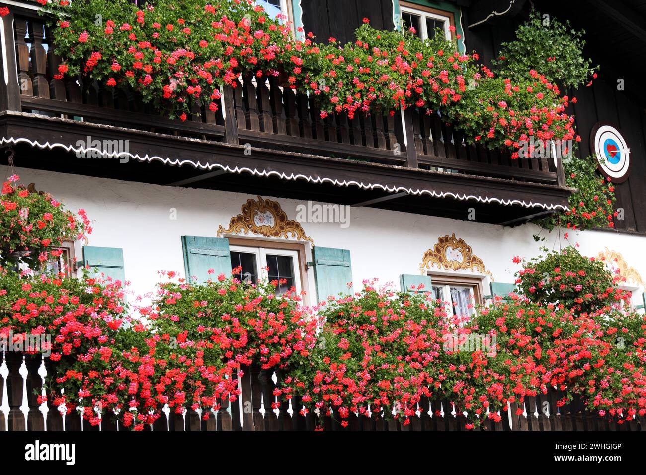 Geranium Splendor a Schliersee Foto Stock