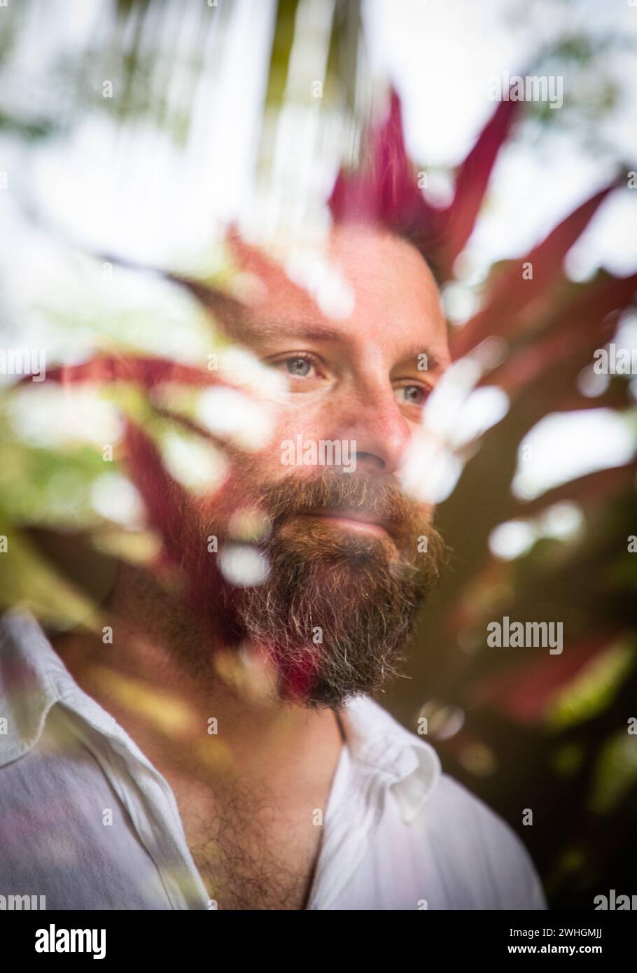 Bell'uomo che guarda attraverso la finestra che riflette la salute mentale delle piante tropicali Foto Stock