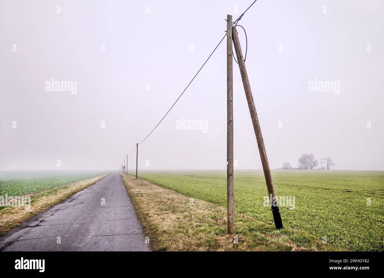 Carreggiata nella nebbia Foto Stock