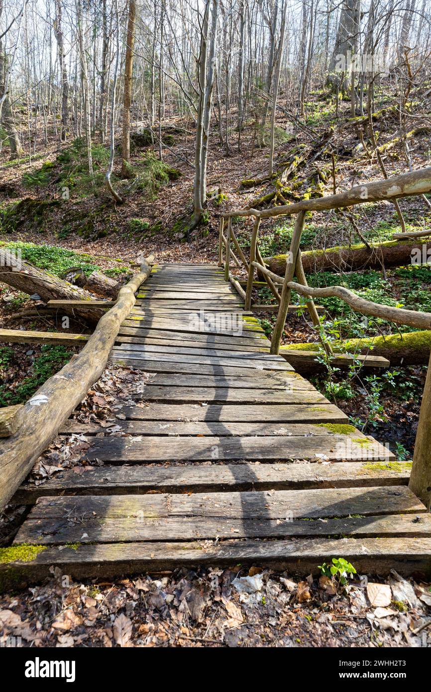 Ponte di legno nel Selketal Harz Foto Stock