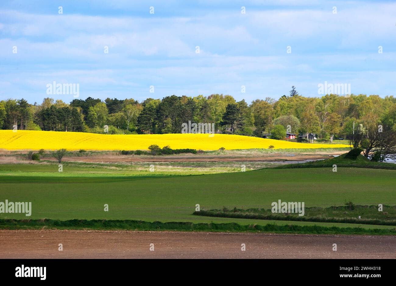 Paesaggio tipico dell'isola di Samo, Danimarca, Europa Foto Stock