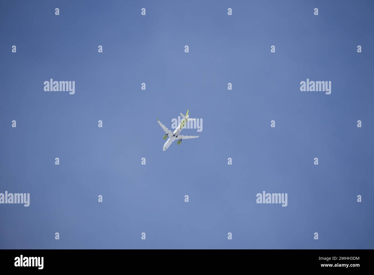 silhouette dello stemma nel cielo blu Foto Stock