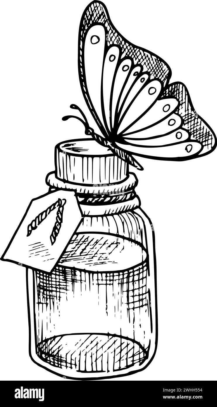 Bottiglia con farfalla. Illustrazione vettoriale disegnata a mano di un faro di vetro con olio essenziale aromatico liquido dipinto da inchiostri neri. Disegno monocromatico di un flagon vintage con per il design della medicina o della spa. Illustrazione Vettoriale