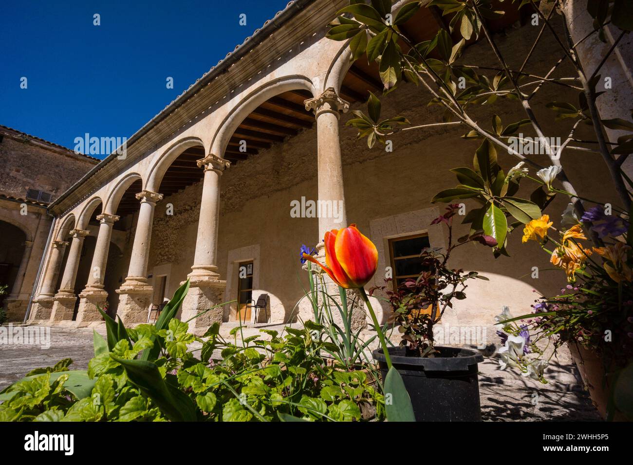 Convento de los MÃ­nimos Foto Stock